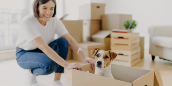Moving with Pets: Here’s How to Keep Them Safe and Comfortable